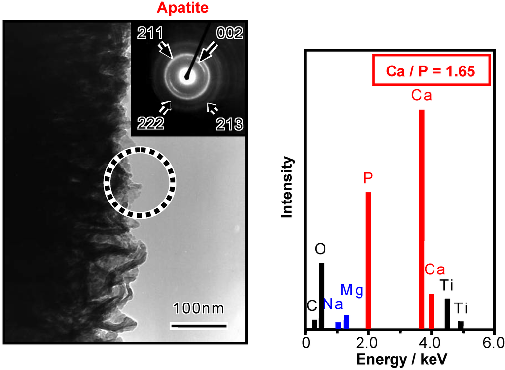 Materials 03 00048 g006 1024