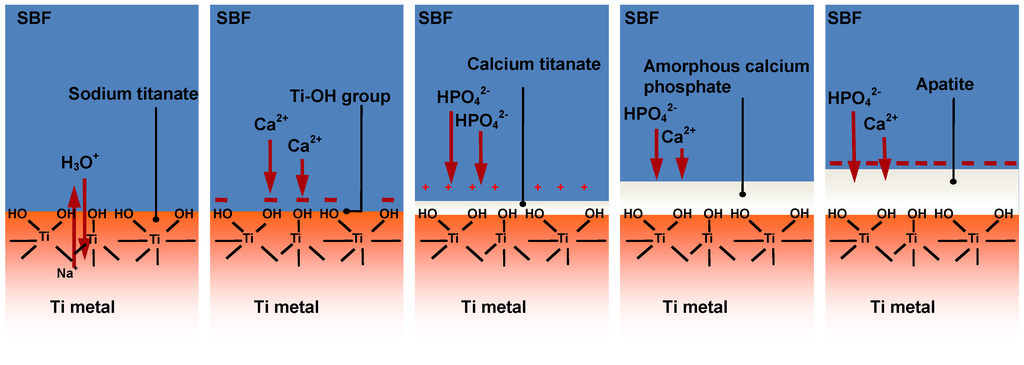 Materials 03 00048 g007 1024