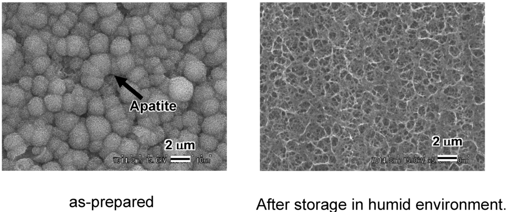 Materials 03 00048 g008 1024