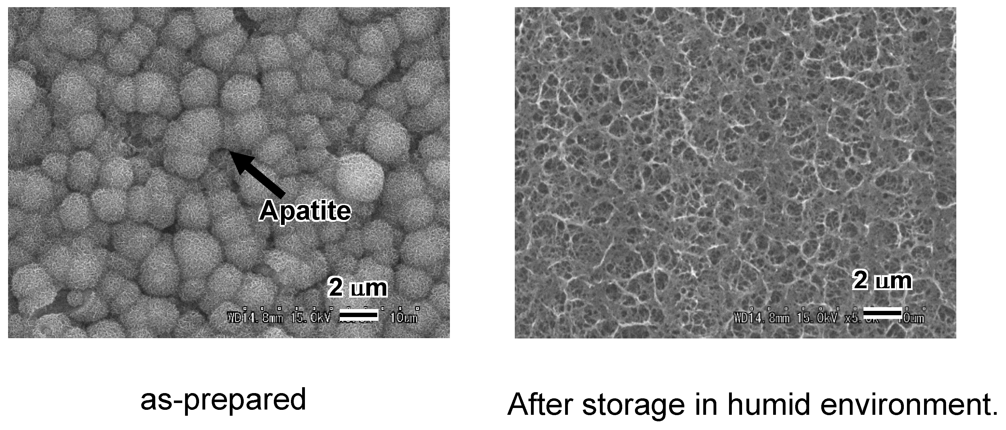 Materials 03 00048 g008