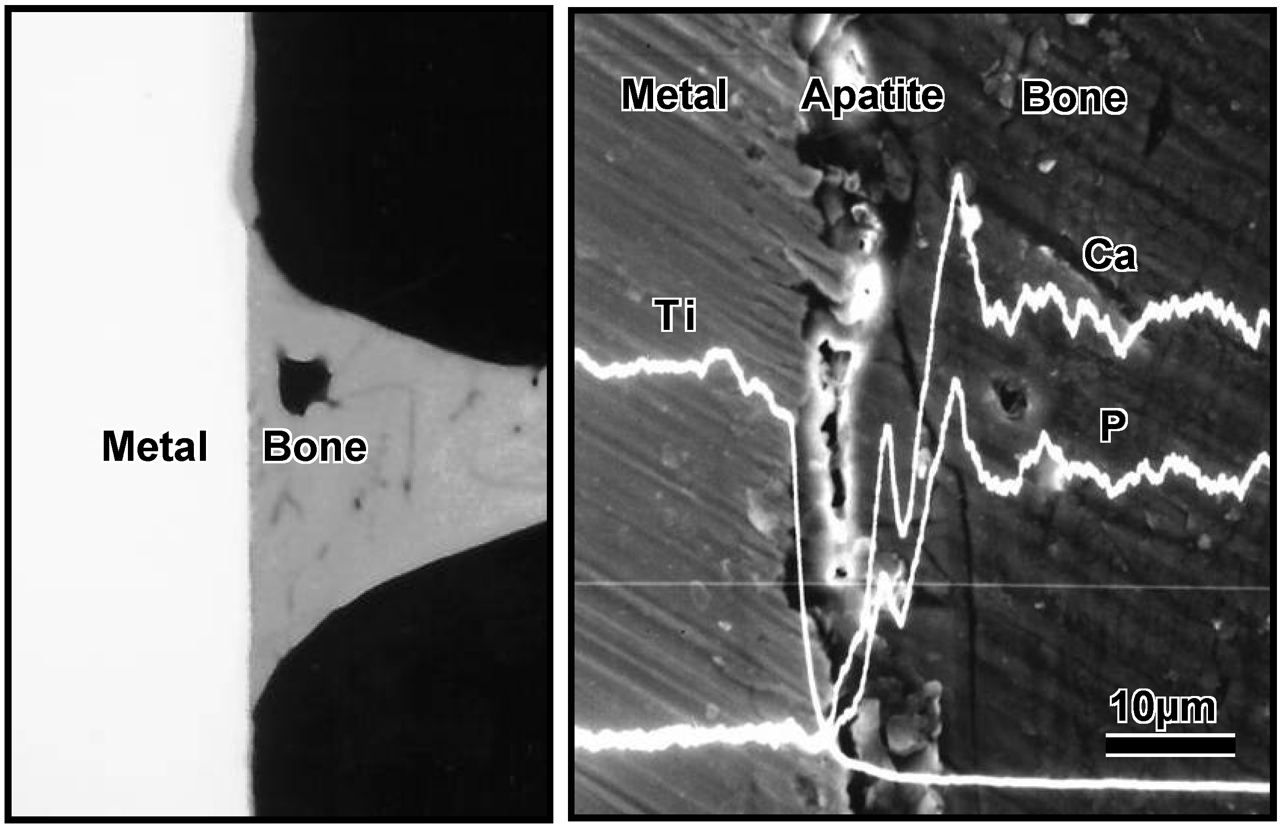 Materials 03 00048 g009