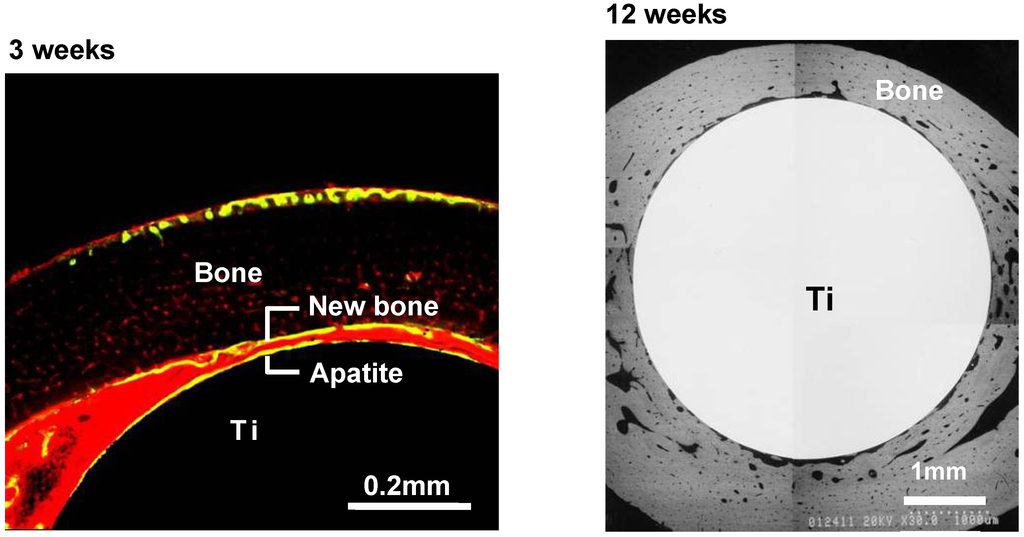 Materials 03 00048 g011 1024