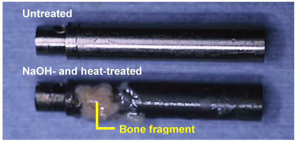 Materials 03 00048 g012 1024