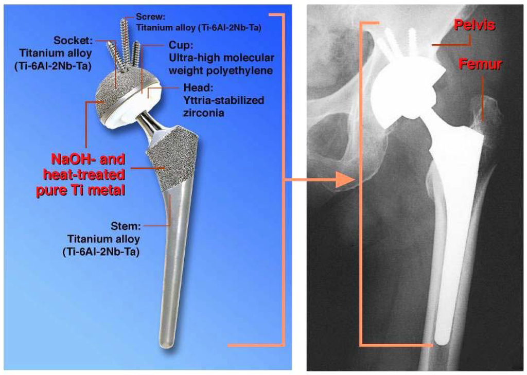 Materials 03 00048 g013 1024