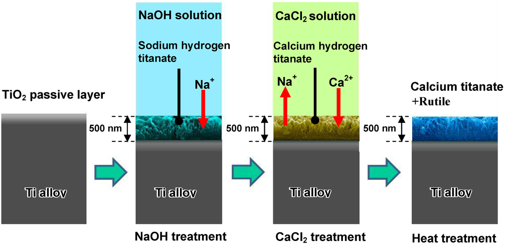 Materials 03 00048 g015 1024