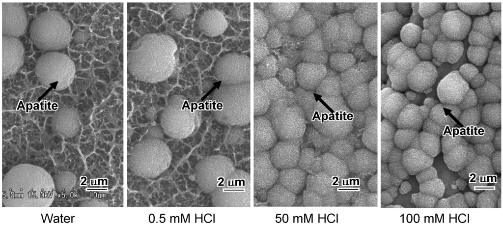 Materials 03 00048 g020 1024