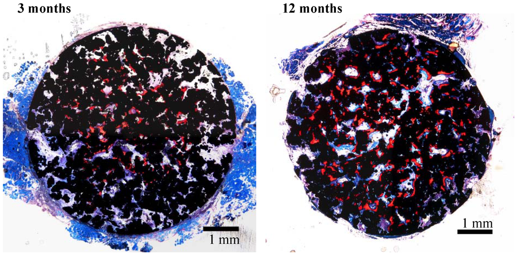 Materials 03 00048 g022 1024