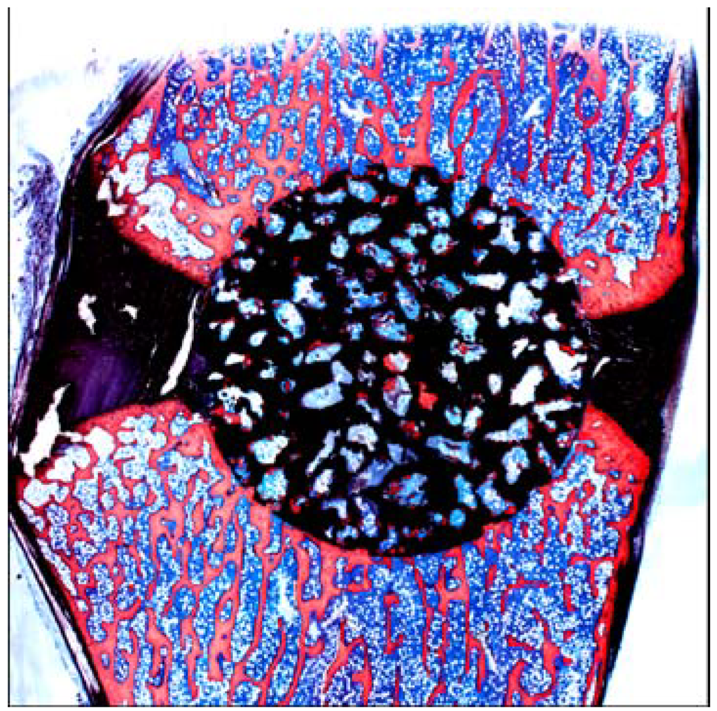 Materials 03 00048 g023 1024