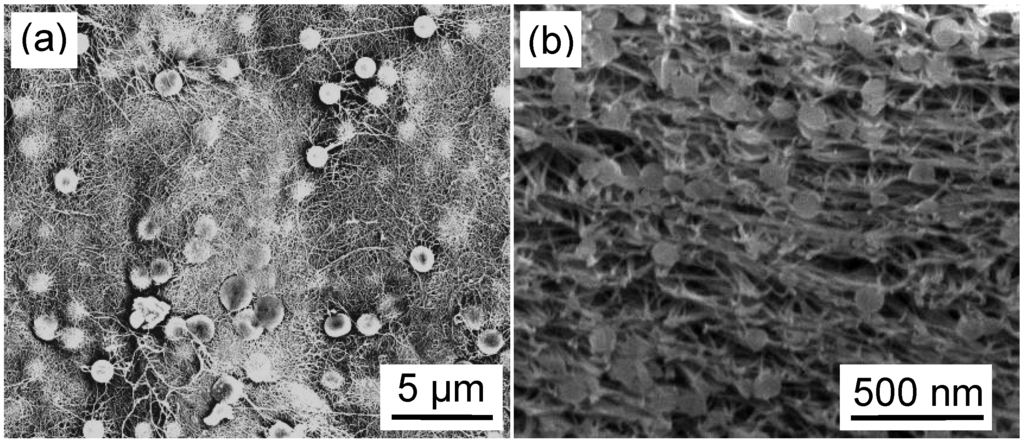 Materials 03 00127 g006 1024