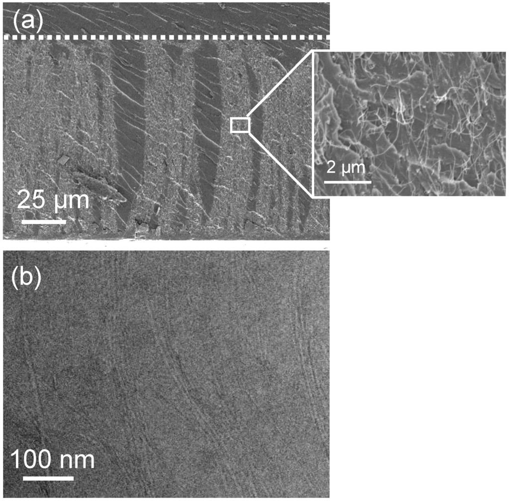 Materials 03 00127 g013 1024