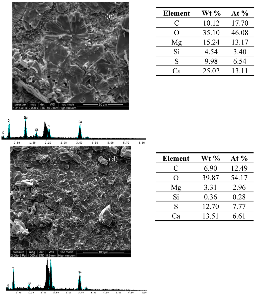 Materials 03 00216 g002b 1024