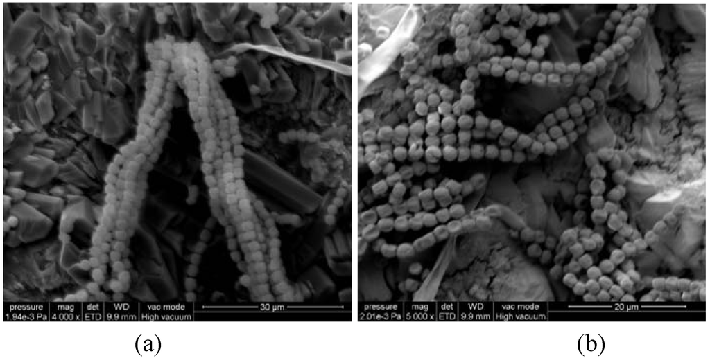 Materials 03 00216 g007 1024