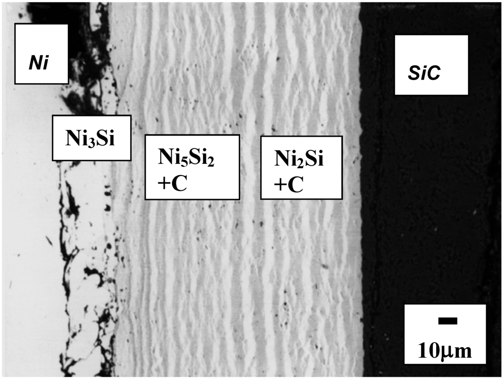Materials 03 00264 g005 1024