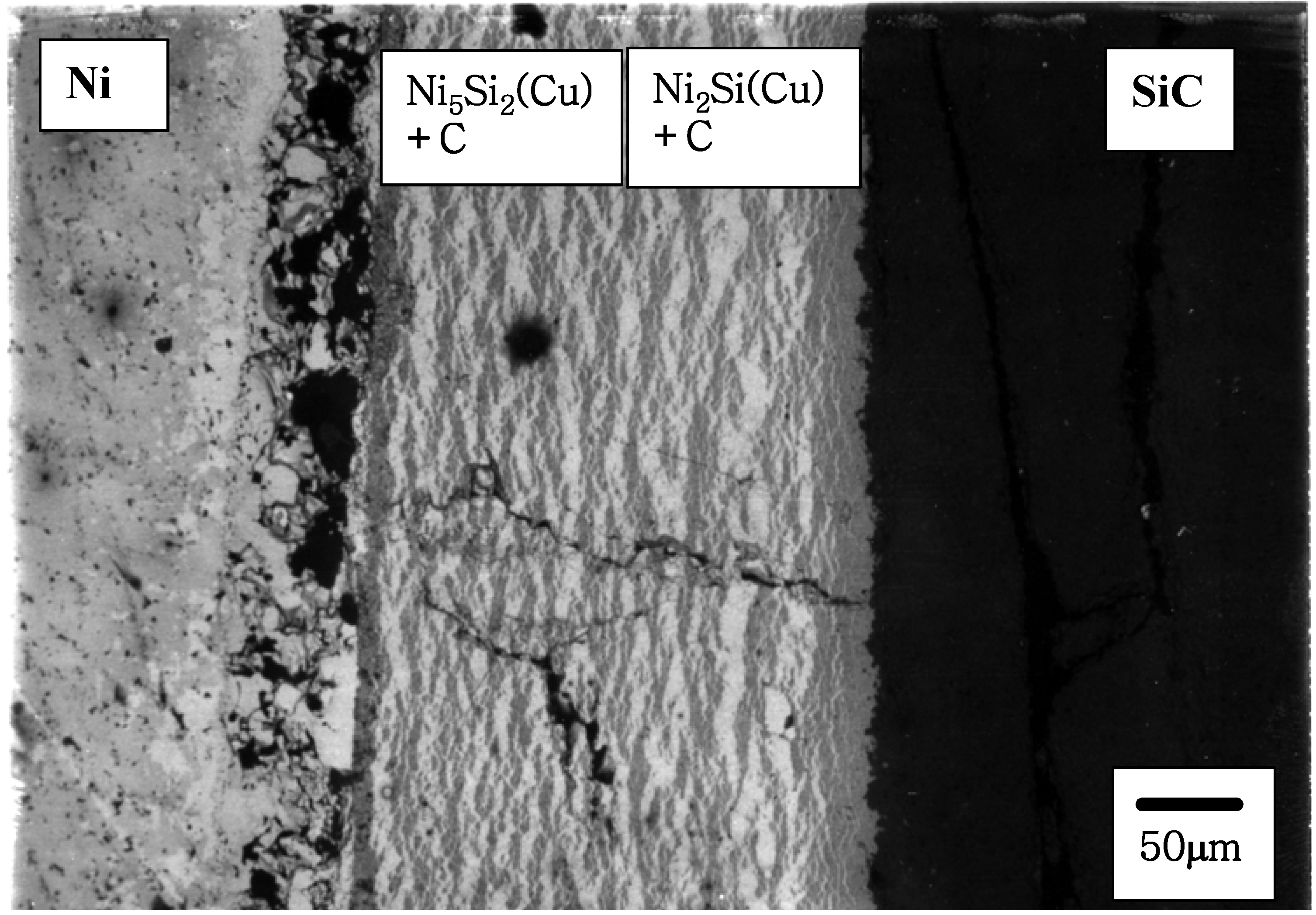 Materials 03 00264 g008