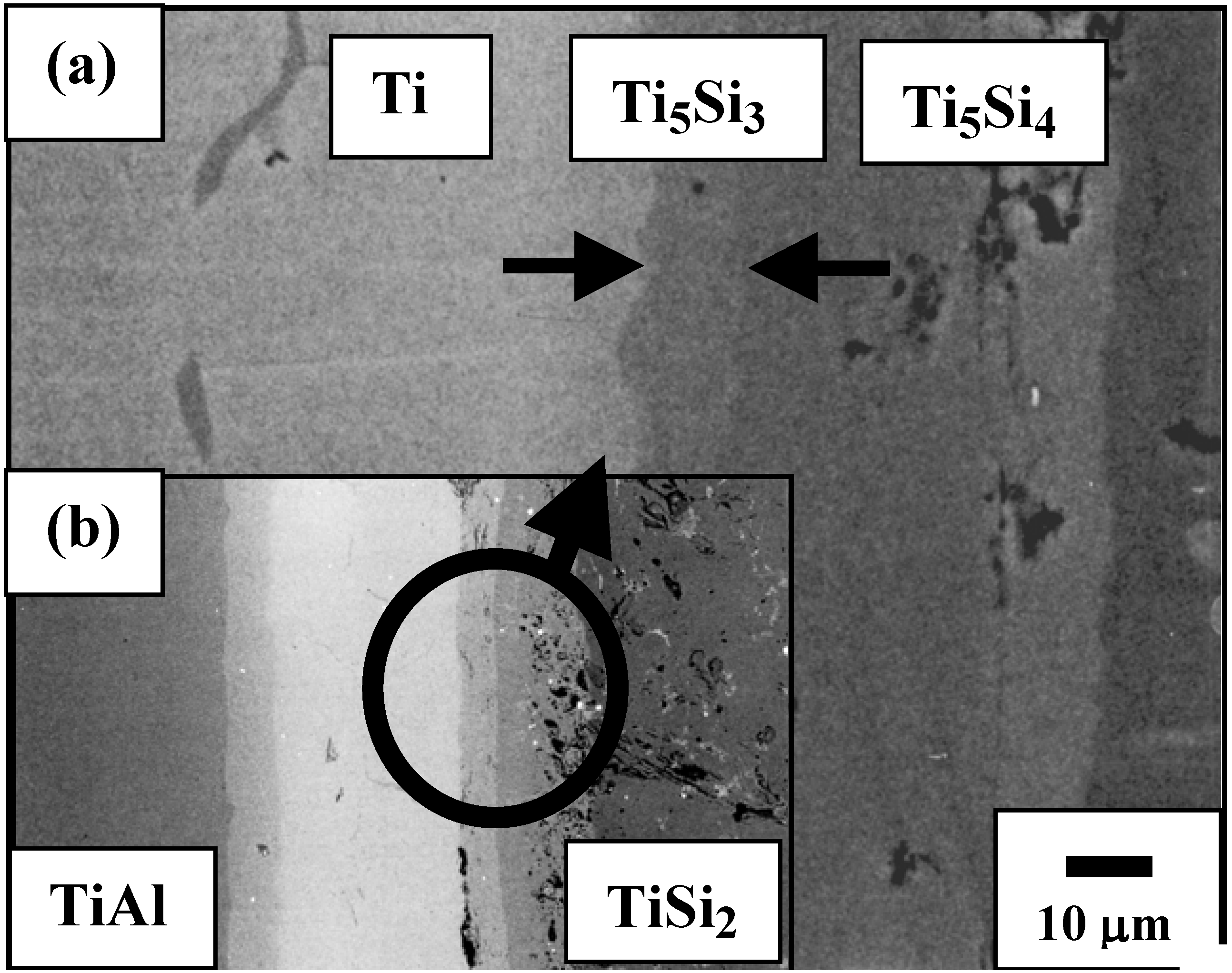 Materials 03 00264 g017