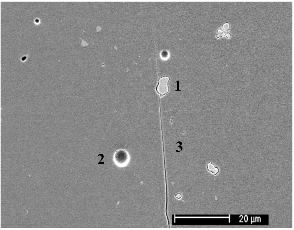 Materials 03 00351 g002 1024