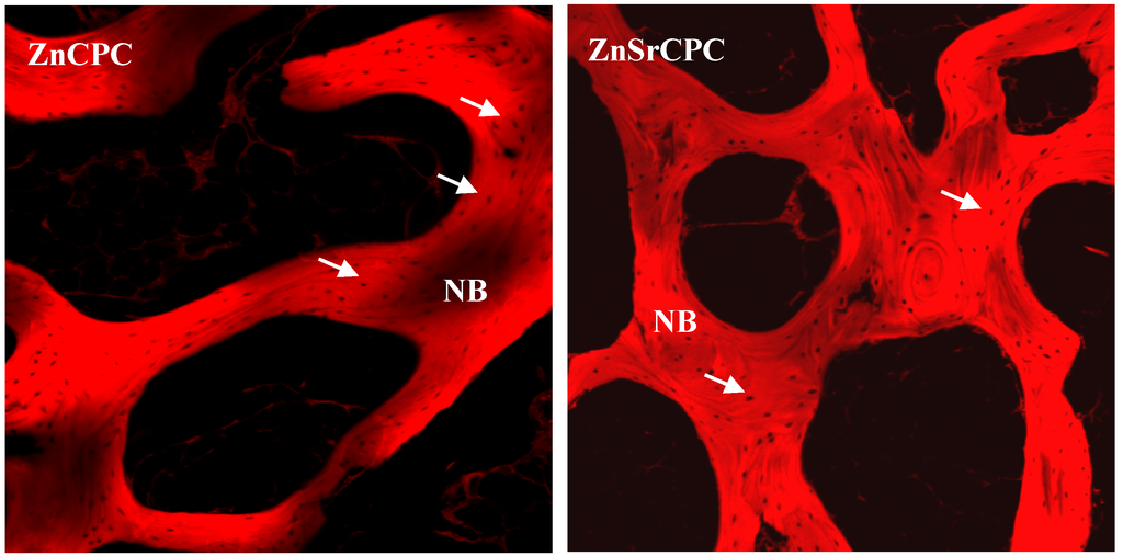 Materials 03 00519 g003 1024