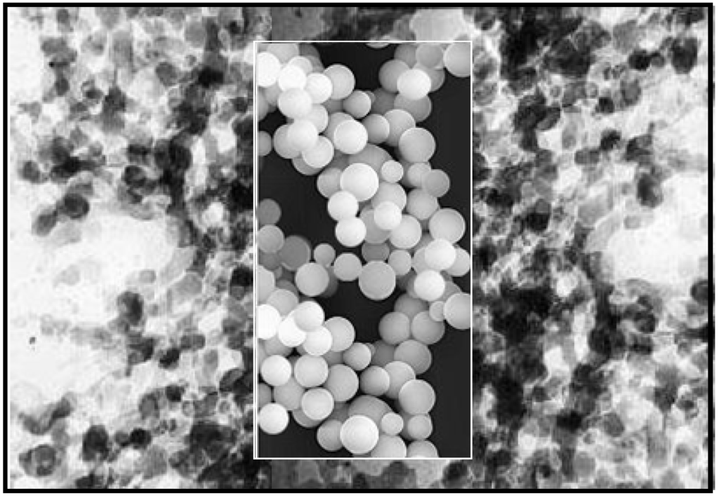 Materials 03 00704 g001 1024