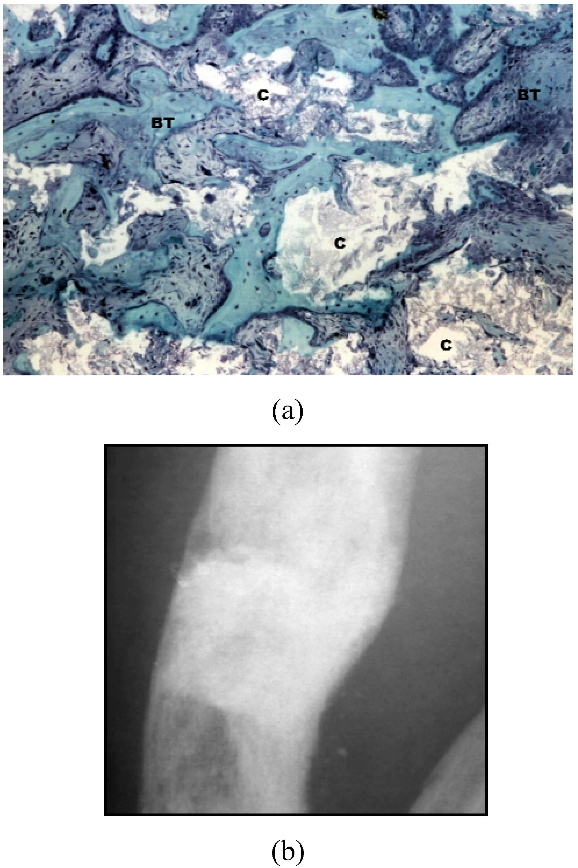 Materials 03 00815 g001