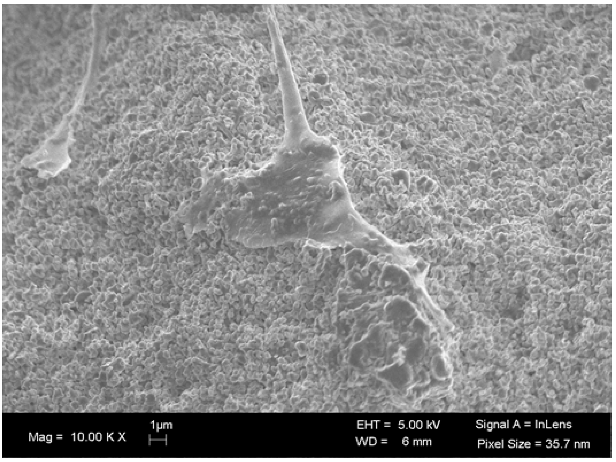 Materials 03 00815 g002