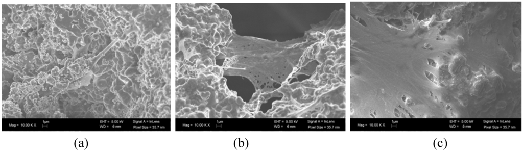 Materials 03 00815 g003 1024