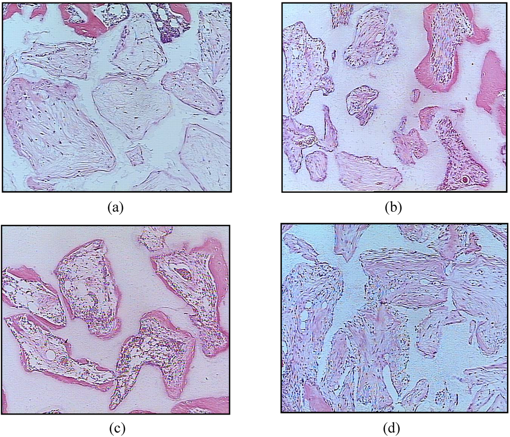 Materials 03 00815 g004 1024