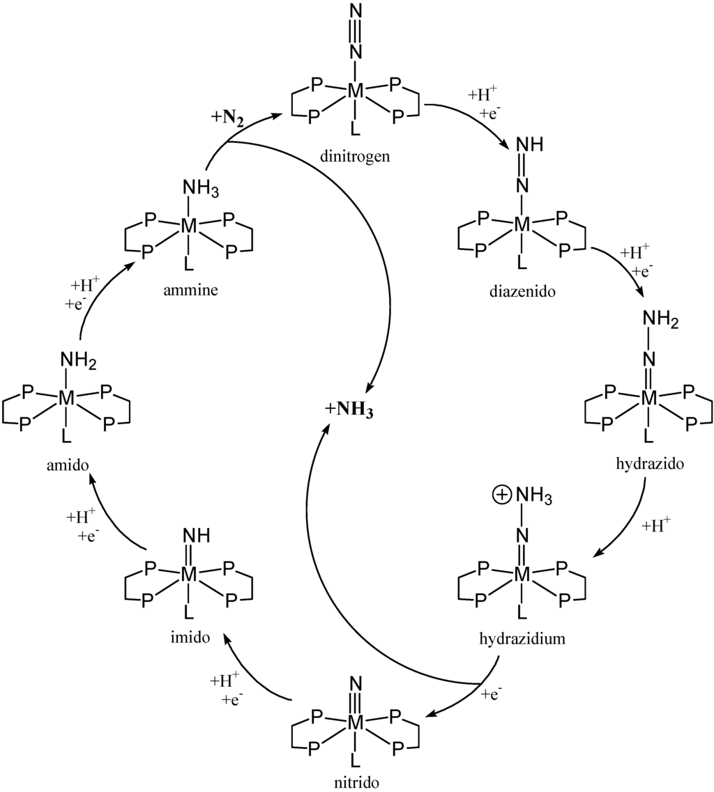 Materials 03 00841 g019 1024