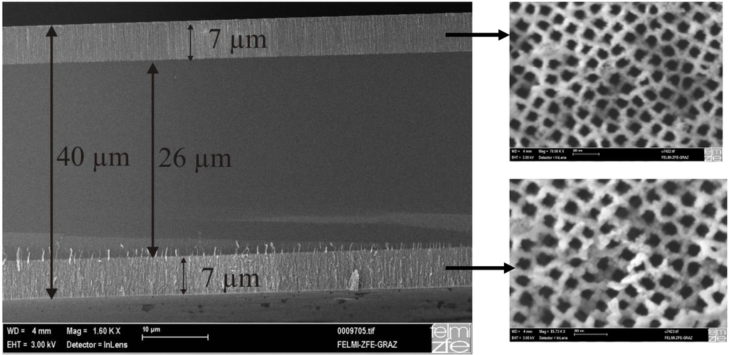 Materials 03 00943 g015 1024