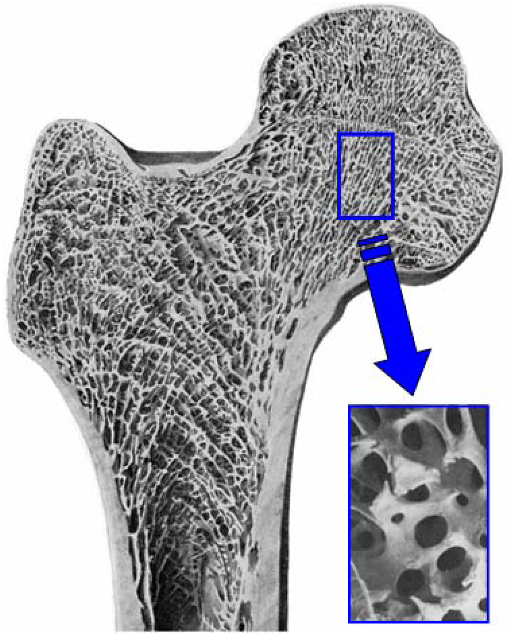 Materials 03 01138 g010 1024