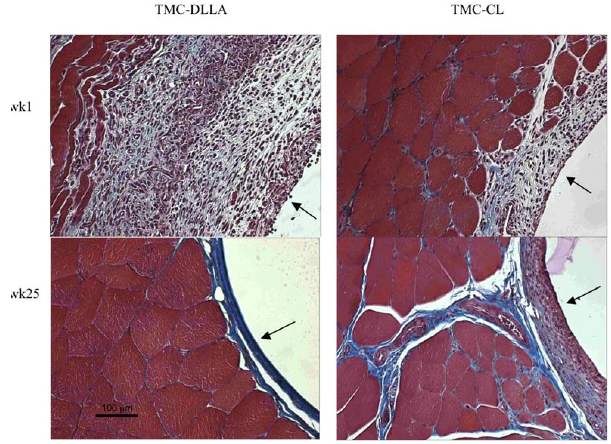 Materials 03 01156 g006