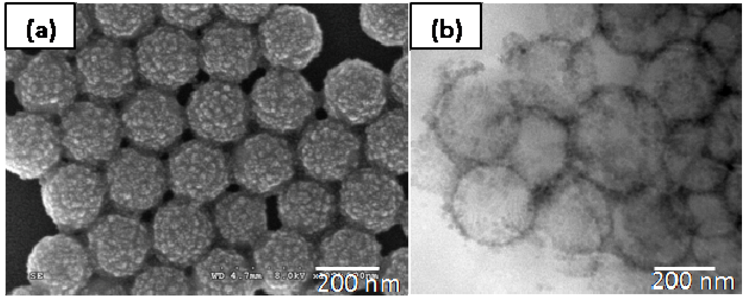 Materials 03 01186 g001