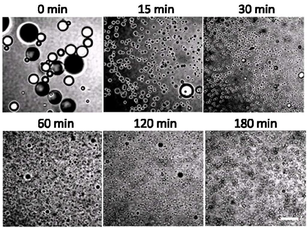 Materials 03 01186 g007 1024