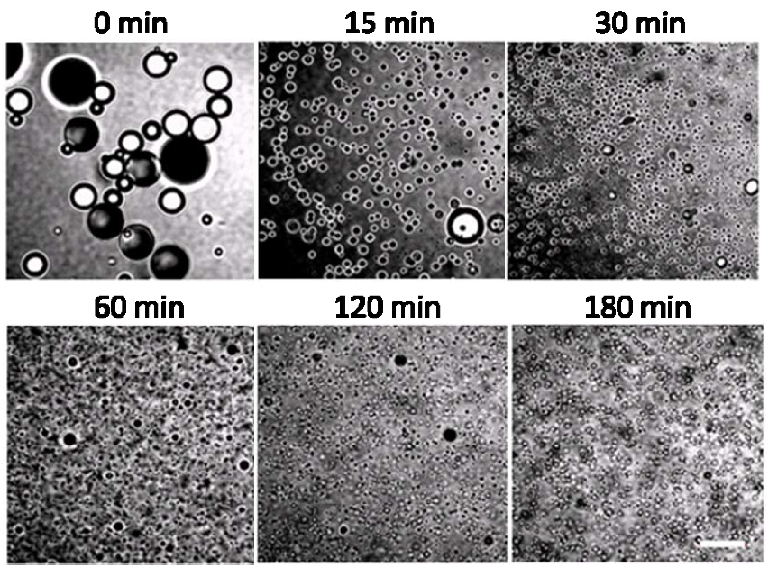 Materials 03 01186 g007