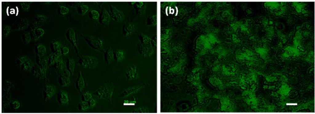 Materials 03 01186 g009 1024