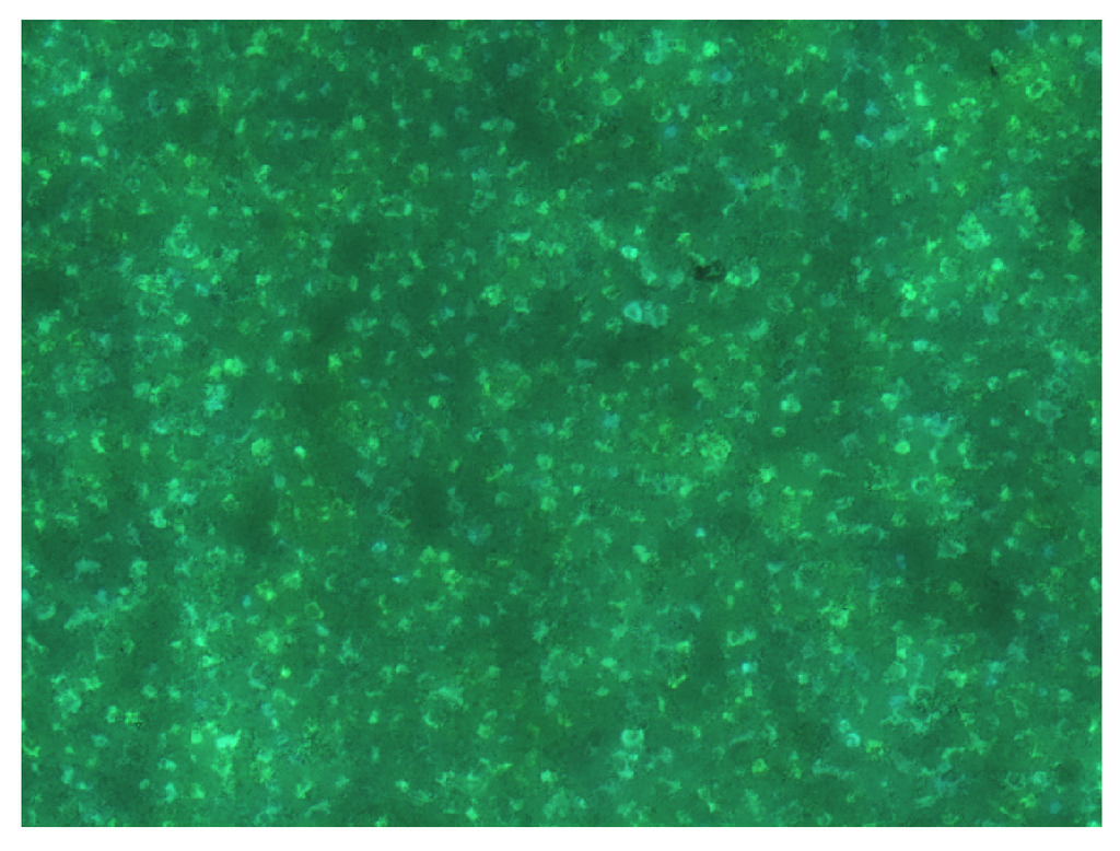 Materials 03 01353 g010 1024