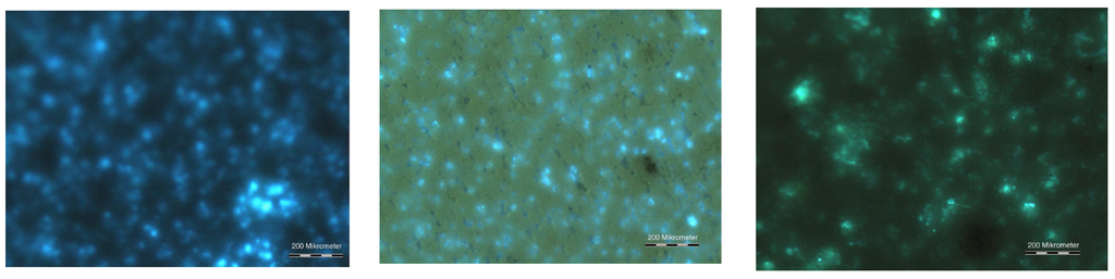 Materials 03 01353 g012 1024