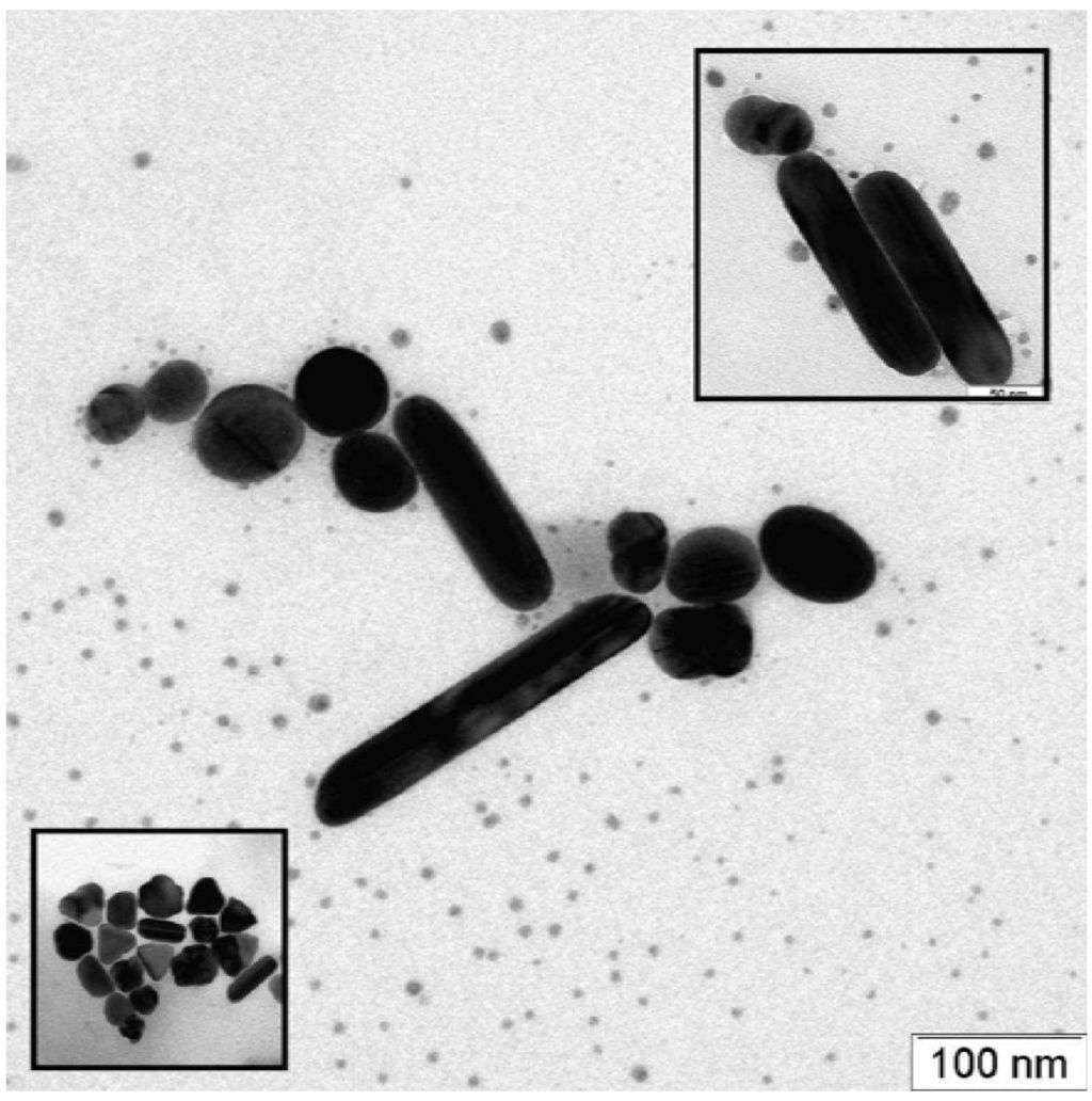 Materials 03 01461 g003 1024