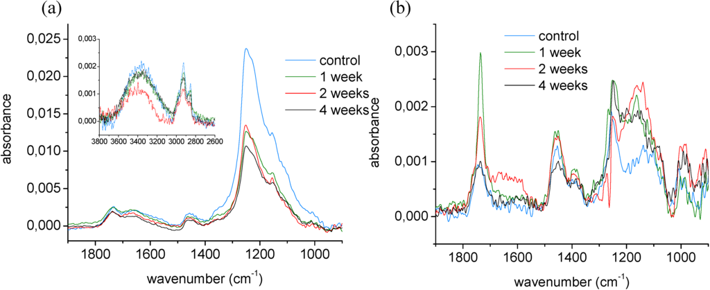 Materials 03 01515 g005 1024