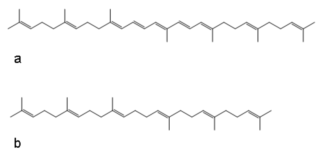 Materials 03 02684 g004 1024