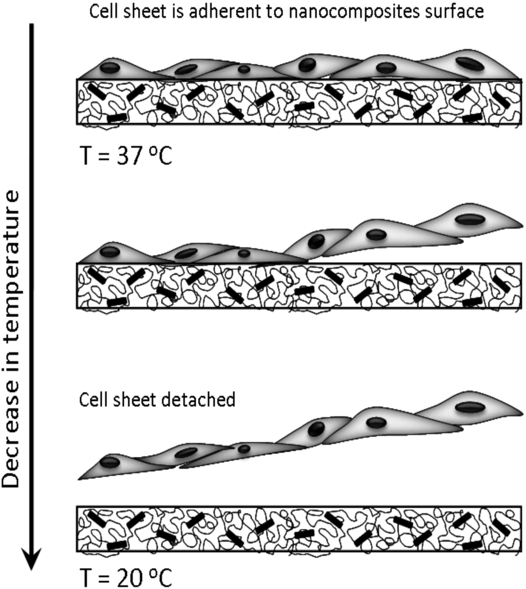 Materials 03 02986 g002 1024