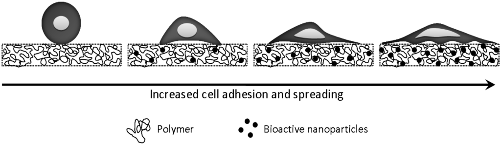 Materials 03 02986 g004 1024