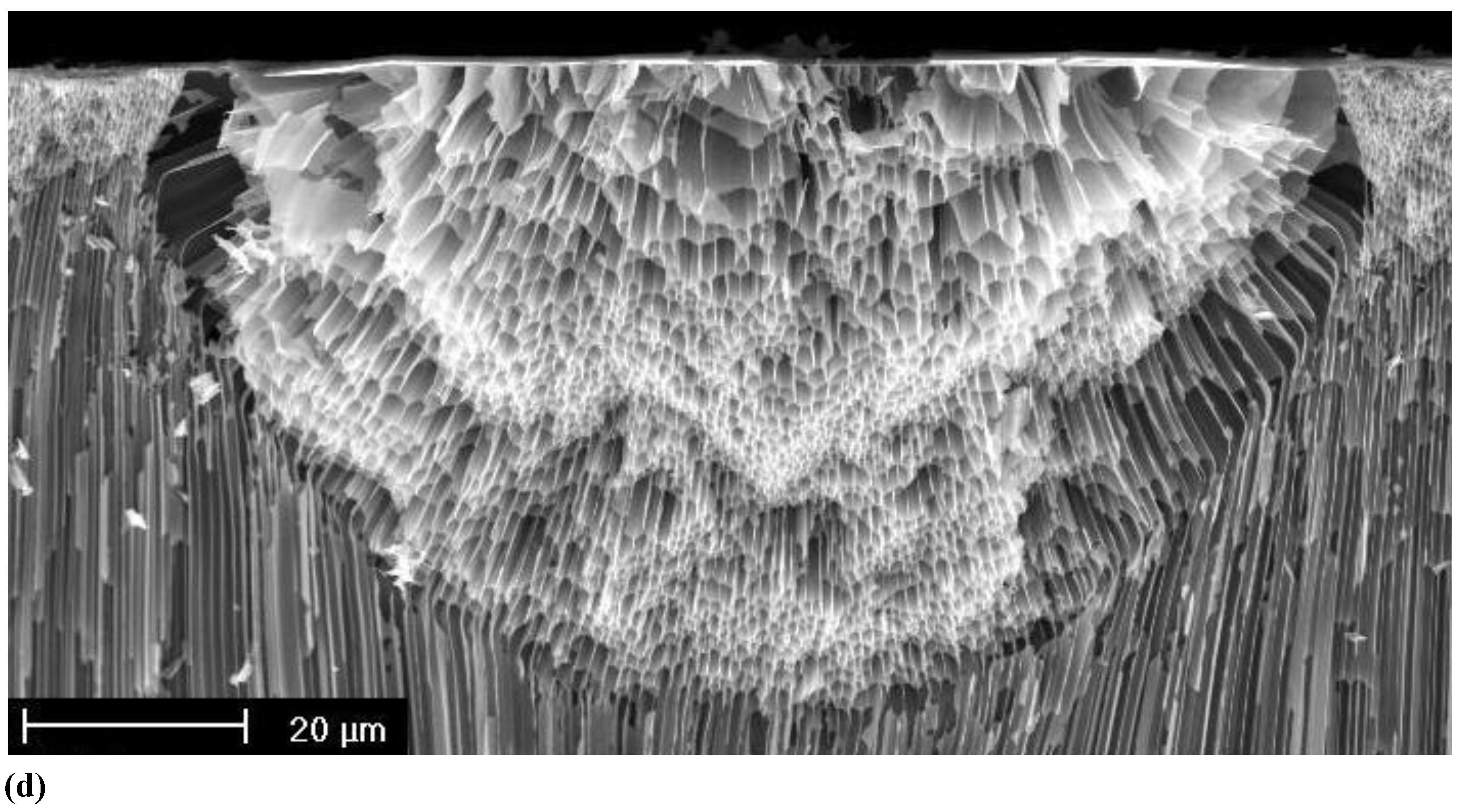 Materials 03 03006 g009b