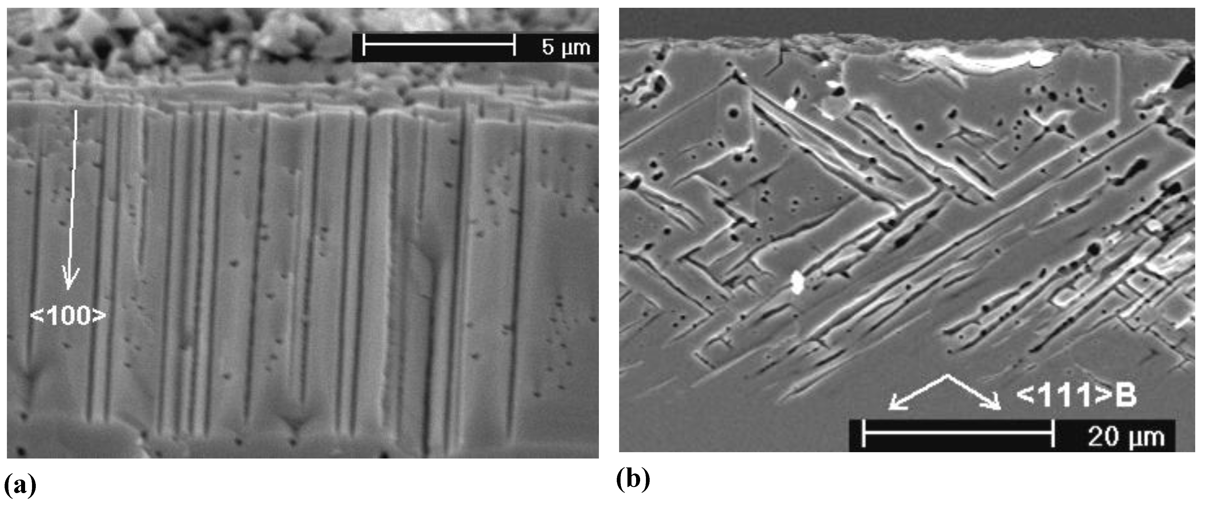 Materials 03 03006 g030