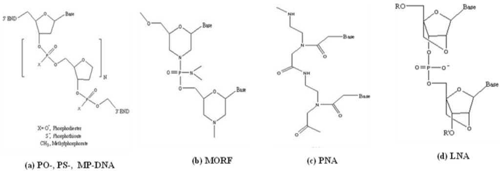Materials 03 03204 g001 1024
