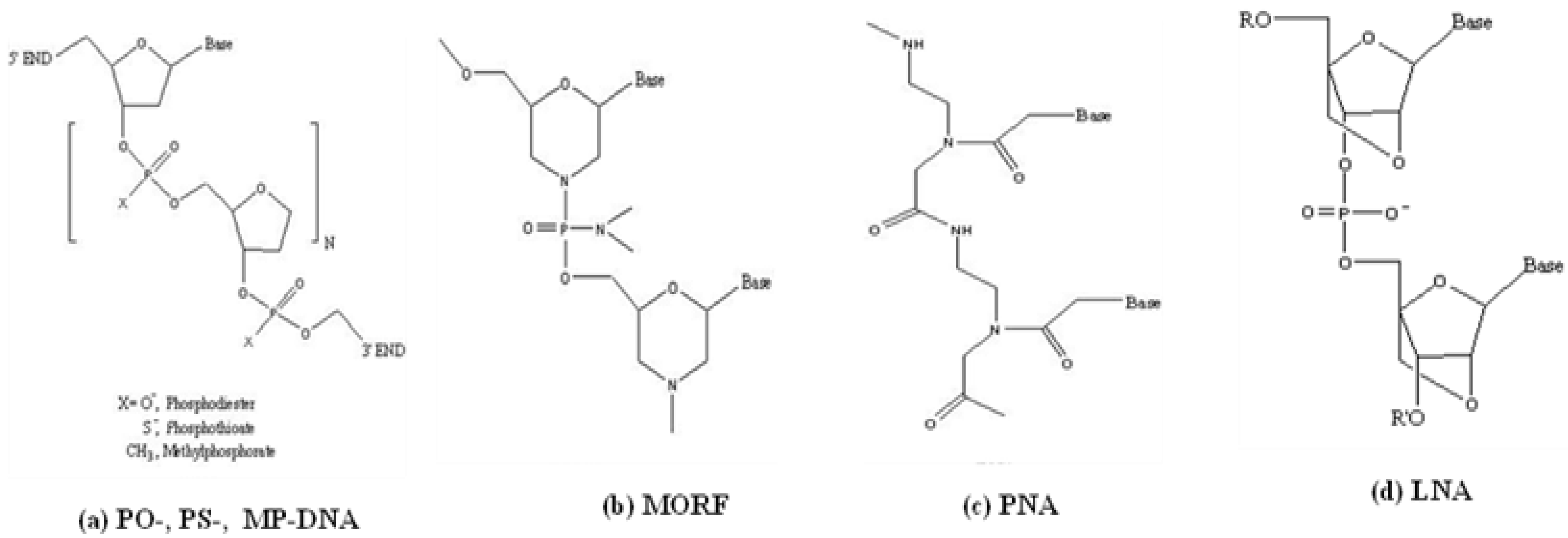 Materials 03 03204 g001