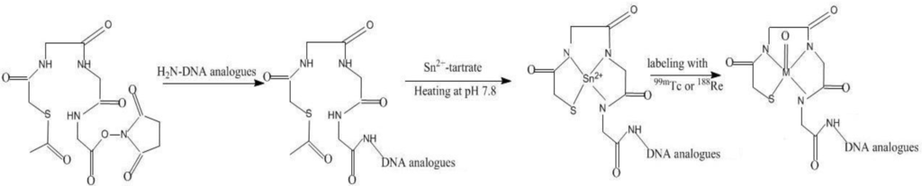 Materials 03 03204 g002 1024