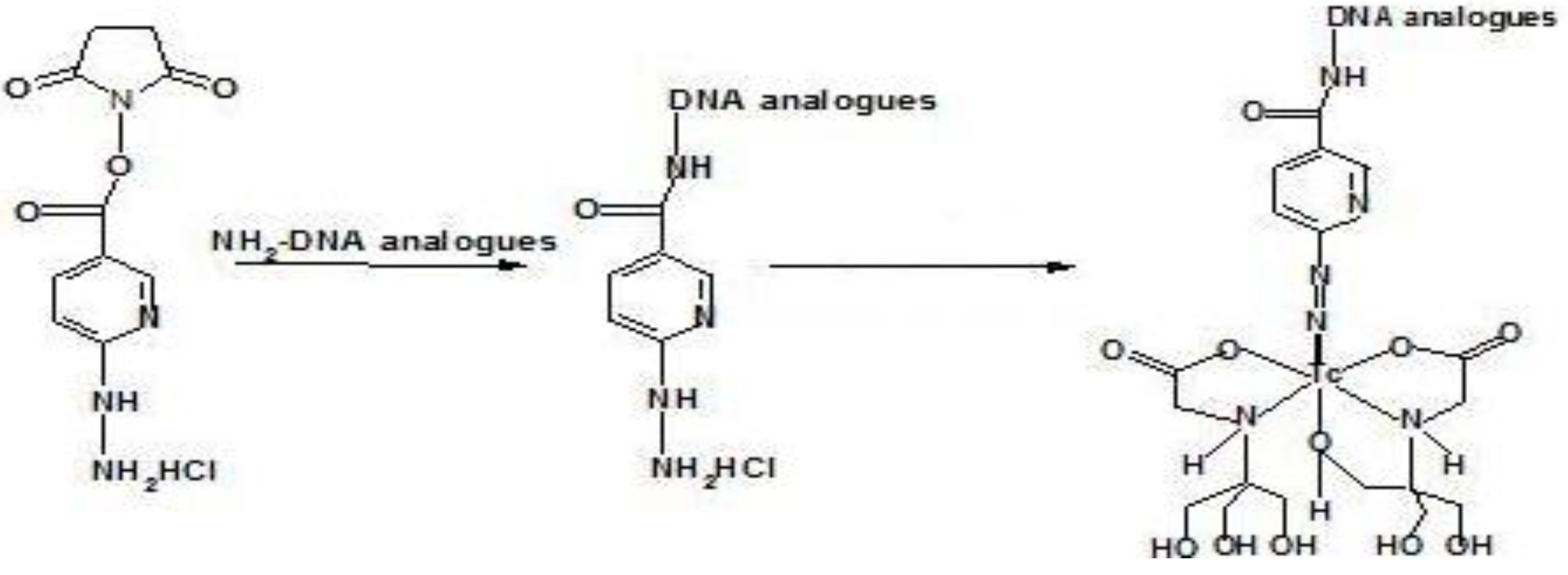 Materials 03 03204 g006