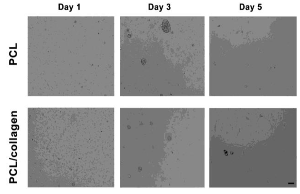 Materials 03 03714 g005 1024