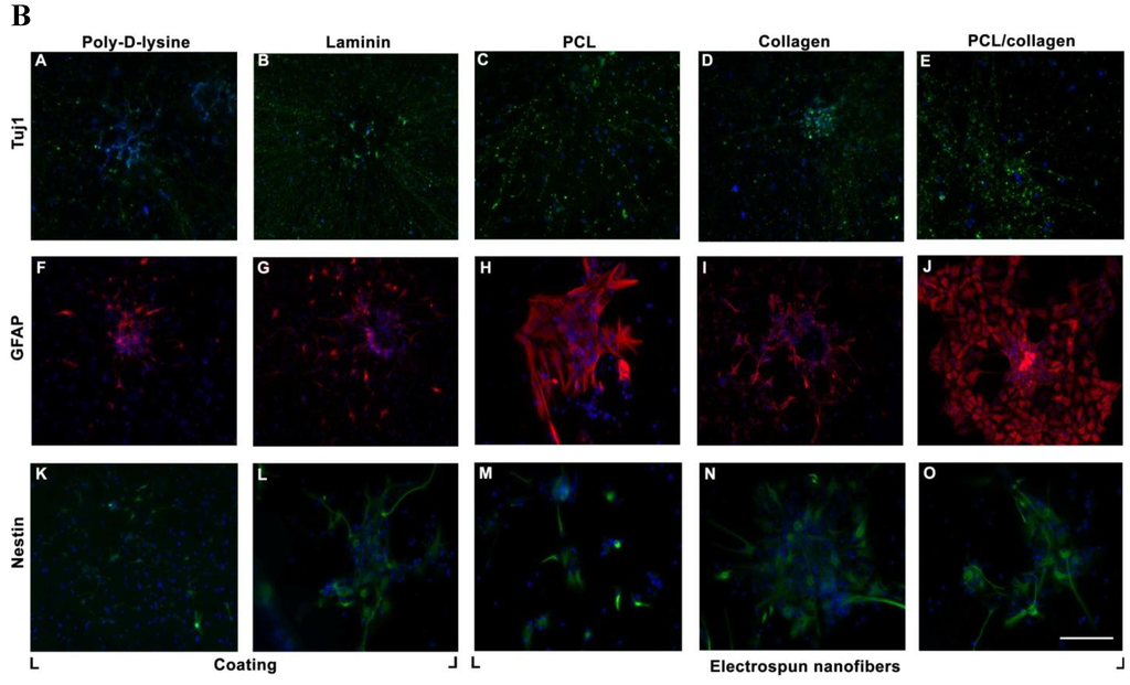 Materials 03 03714 g006b 1024