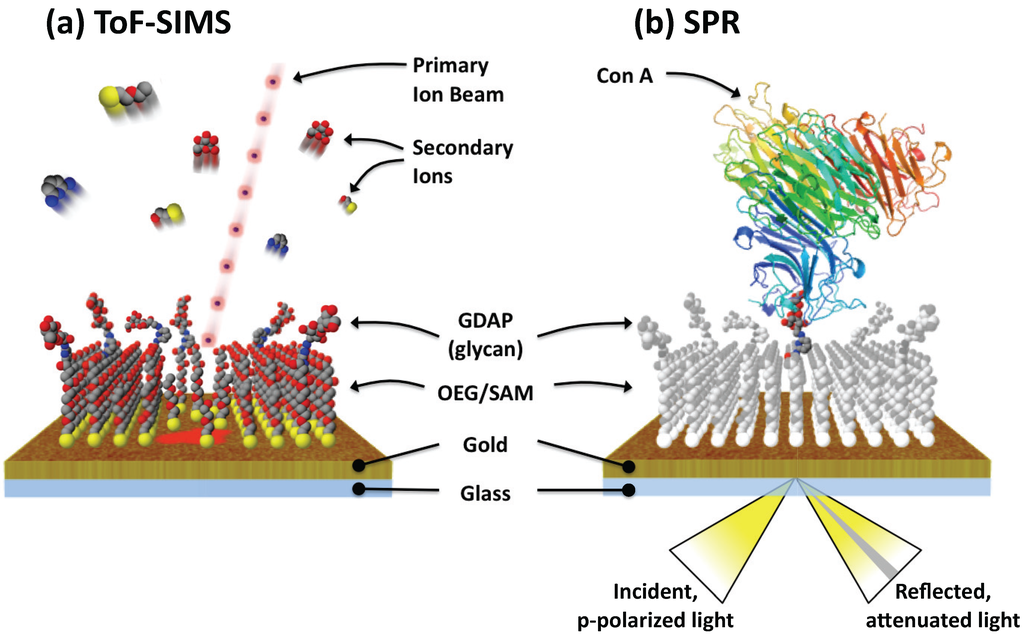 Materials 03 03948 g001 1024
